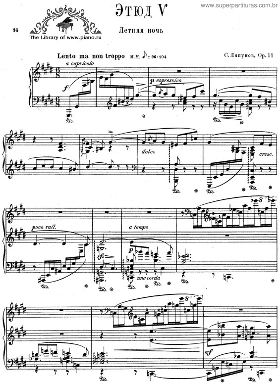 Partitura da música 12 Transcendental Études v.5