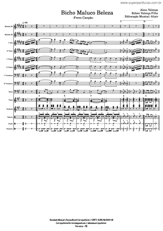 Partitura da música Bicho Maluco Beleza v.2