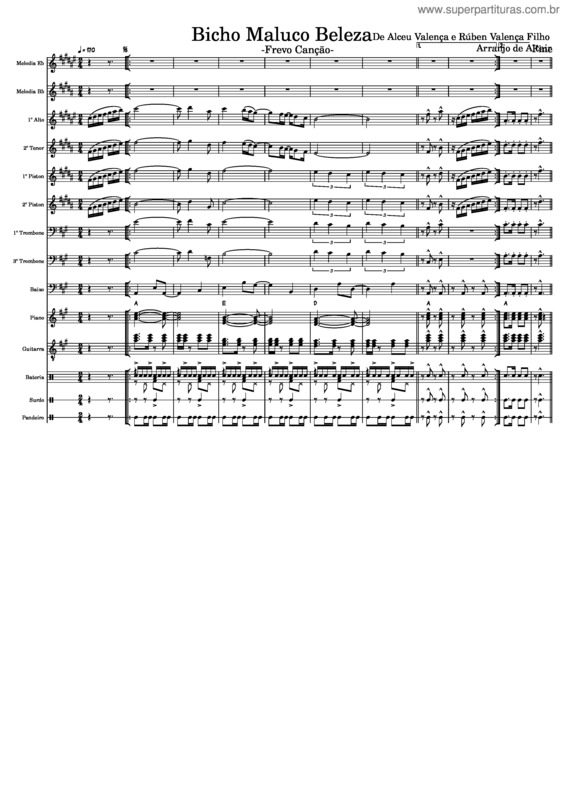Partitura da música Bicho Maluco Beleza