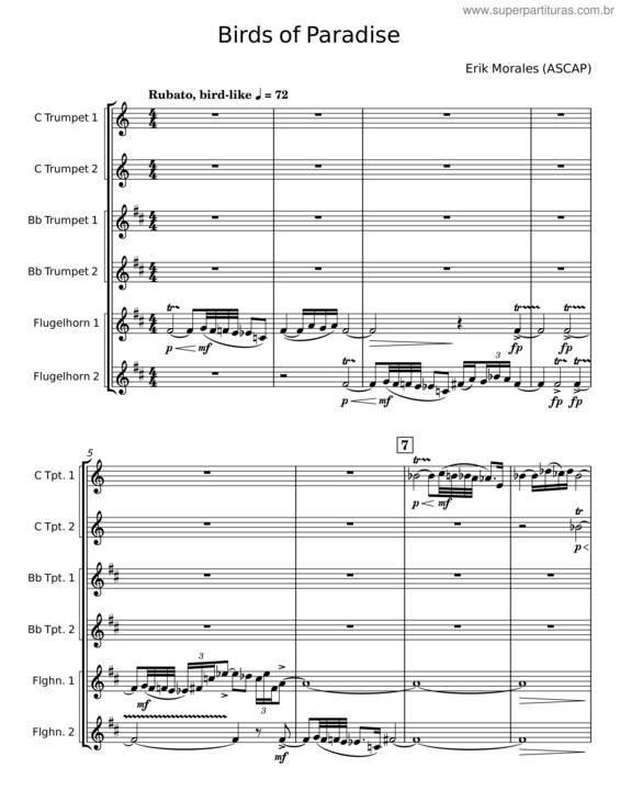 Partitura da música Birds Of Paradise – Erik Morales