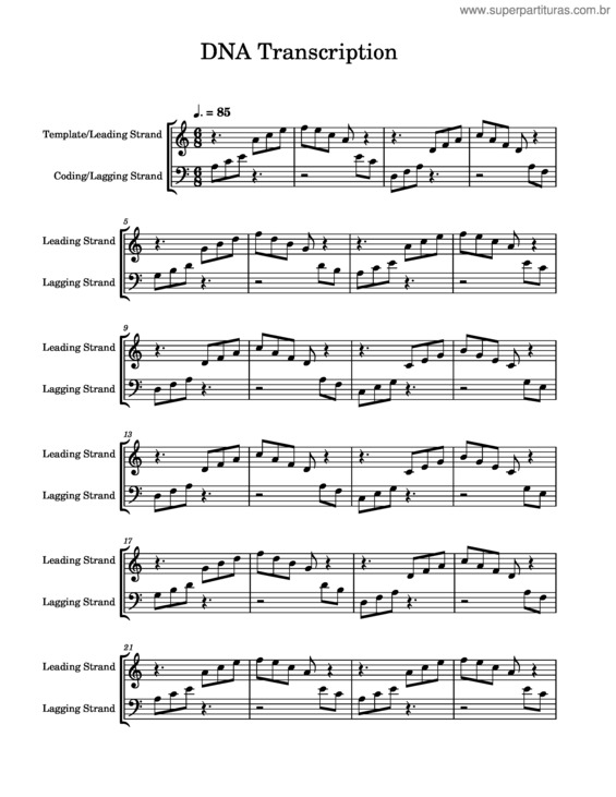 Partitura da música Dna Transcription – Vanessa Bionda