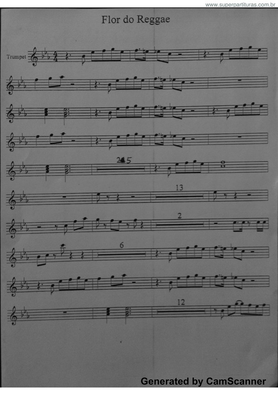 Partitura da música Flor Do Reggae v.4