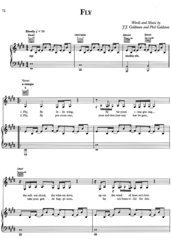 Partitura da música Fly