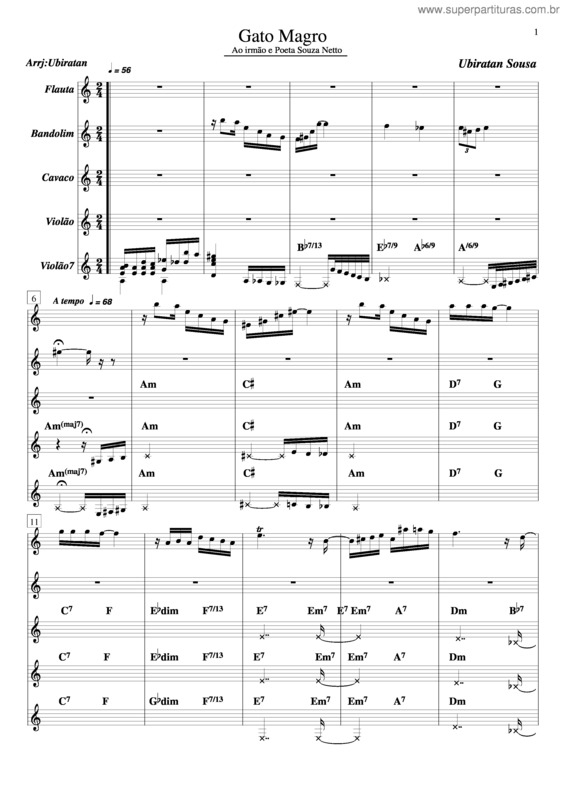 Partitura da música Gato Magro