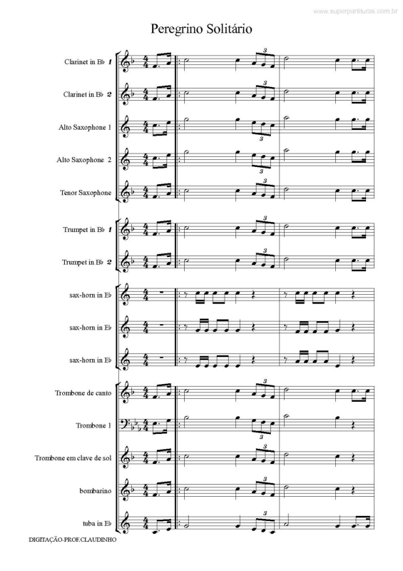 Partitura da música Peregrino Solitário