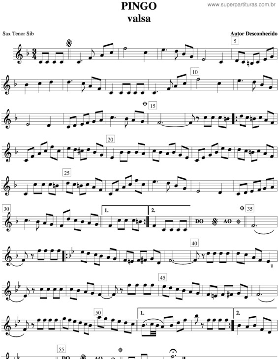 Partitura da música Pingo