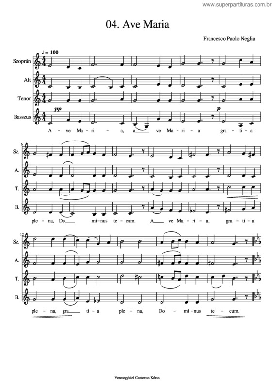 Partitura da música Porti Ave Maria Neglia