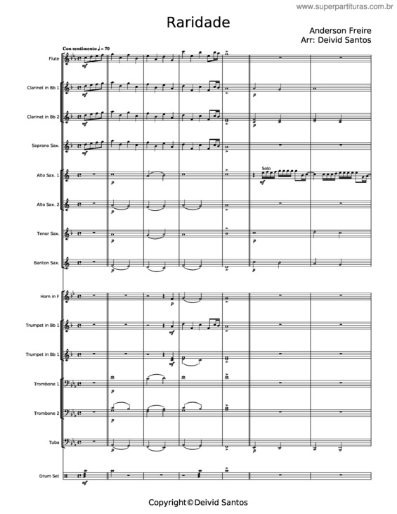Partitura da música Raridade v.17