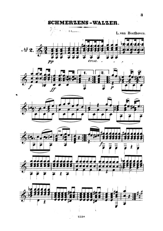 Partitura da música Schmerzens Walzer