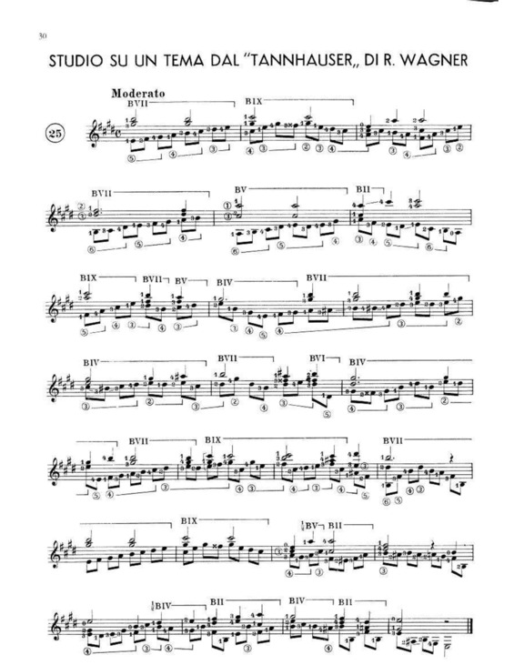 Partitura da música Studio Su Un Tema Dal Tannhauser (Wagner)