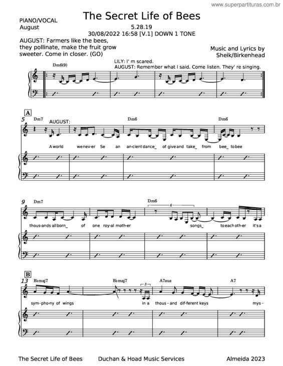 Partitura da música The Secret Life Of Bees – Duncan Sheik