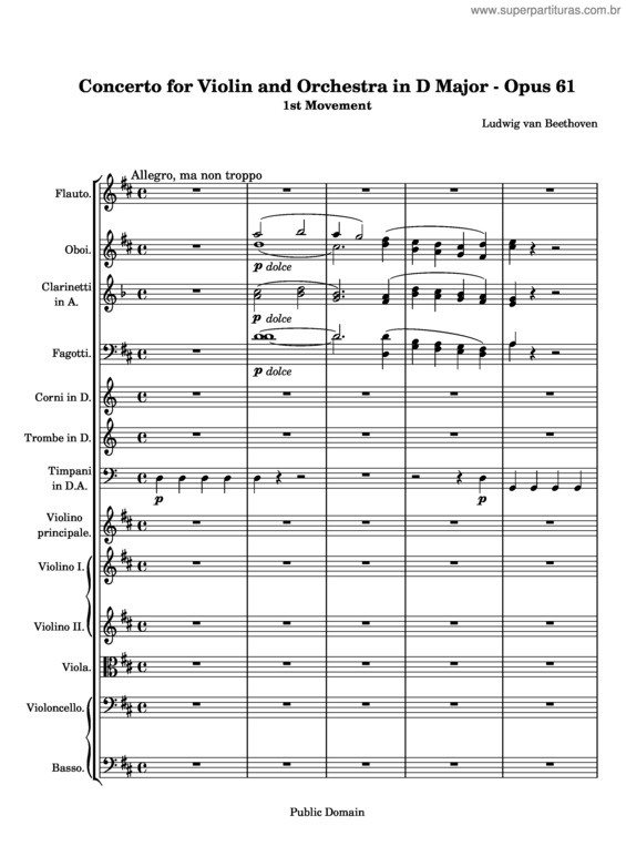 Partitura da música Violin Concerto v.7